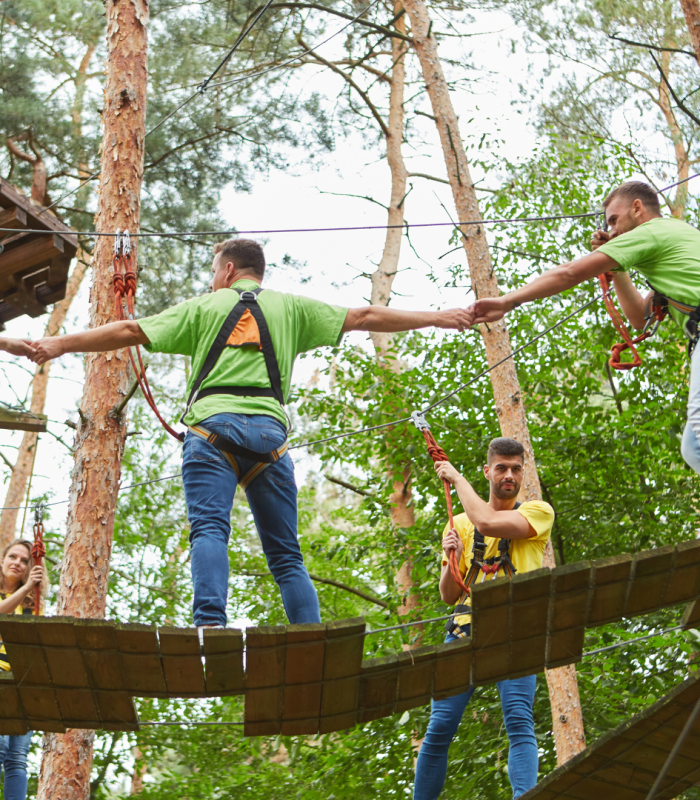 Accrobranche - Team building - Planet'Aire